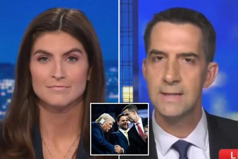 Sen. Tom Cotton and CNN's Kaitlan Collins clash over IVF: 'You're not going to stop me here!'

