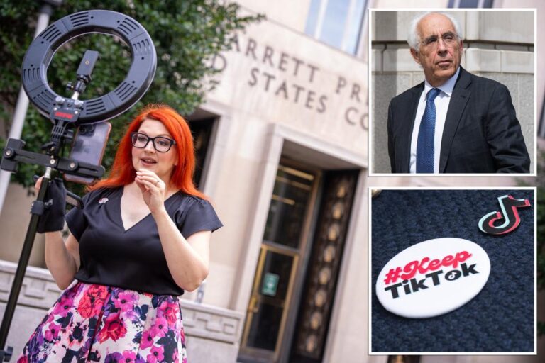 TikTok under fire at appeals court as judges consider challenge to sell-or-ban bill

