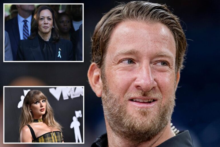 Dave Portnoy reveals which way he'll vote in response to Kamala Harris' endorsement of Taylor Swift: 'To each their own'

